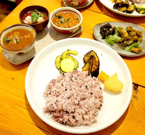 初台スパイス食堂 和魂印才たんどーる