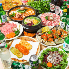 Te~hanmingu Shinokubo Korean Restaurant